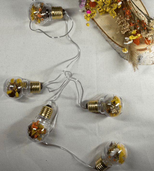 Guirlande lumineuse à led de fleurs séchées.